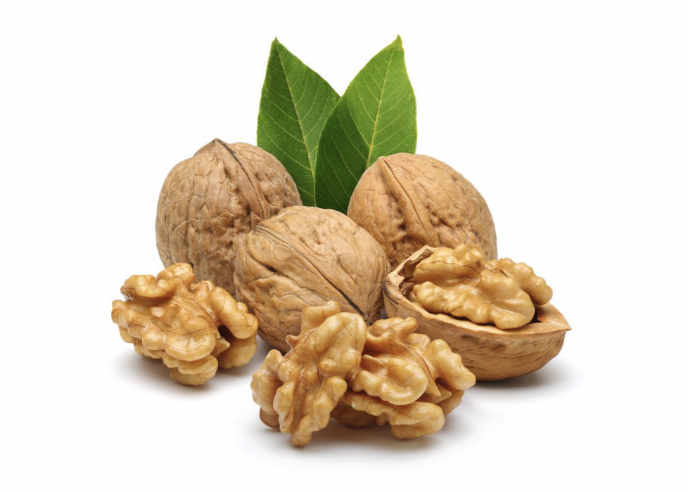 Walnut Extract