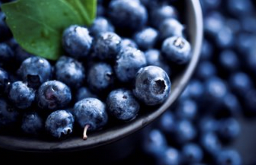 Bilberry Extract